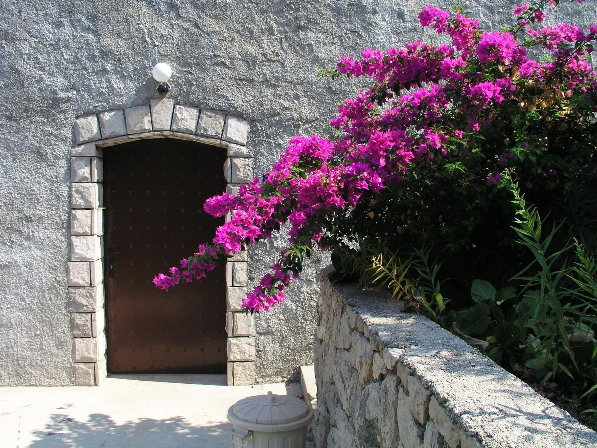 Apartamento Bajo - Free Parking *
